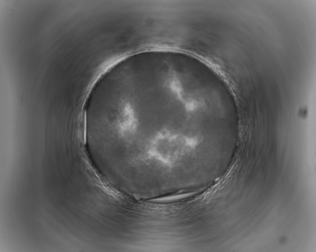 X0000097971223200804071049