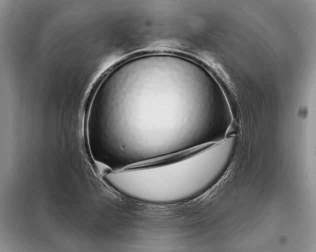 X0000097971224200804071049