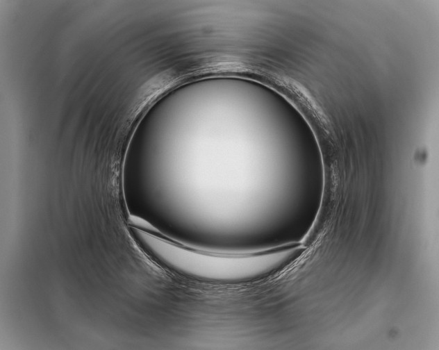 X0000097971225200804071049