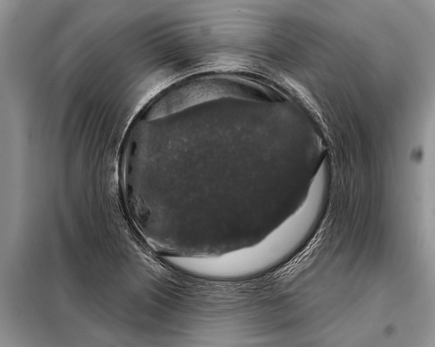 X0000097971226200804071049