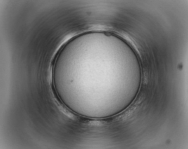 X0000097971227200804071049