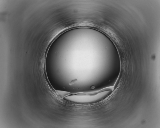 X0000097971228200804071049