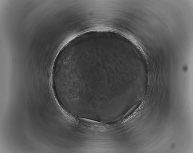 X0000097971229200804071049