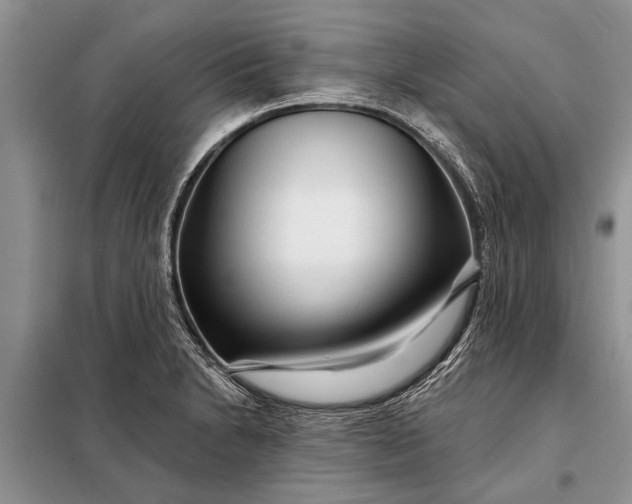 X0000097971230200804071049