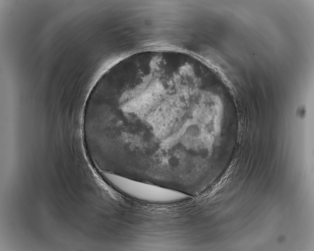 X0000097971231200804071049