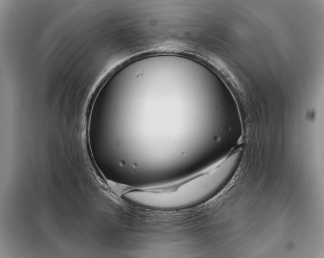 X0000097971232200804071049