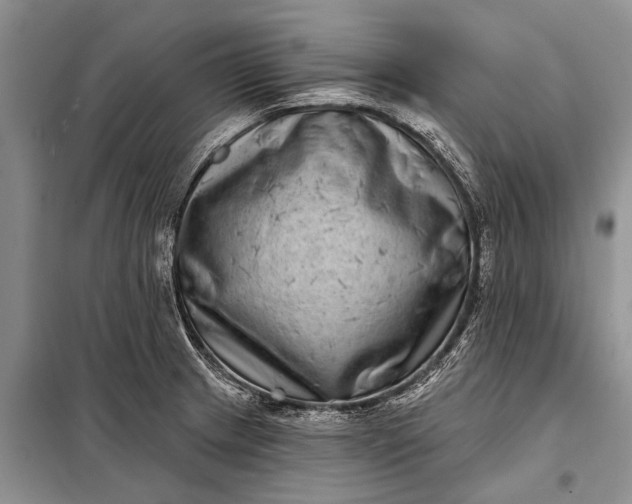 X0000097971233200804071049