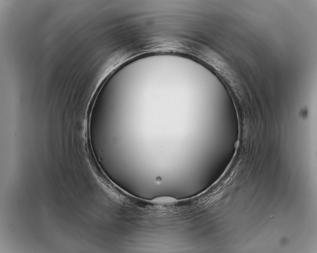 X0000097971234200804071049