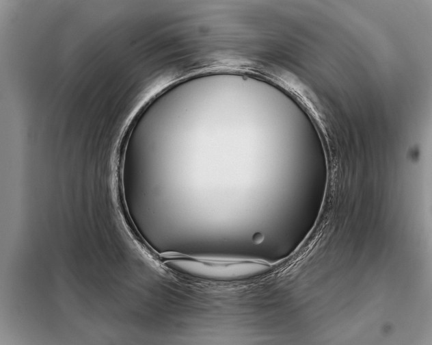 X0000097971235200804071049