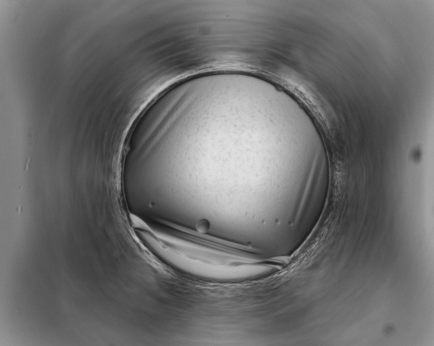 X0000097971236200804071049