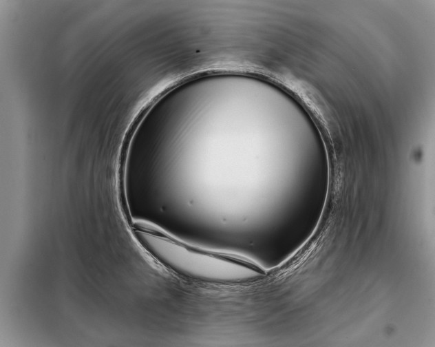 X0000097971237200804071049