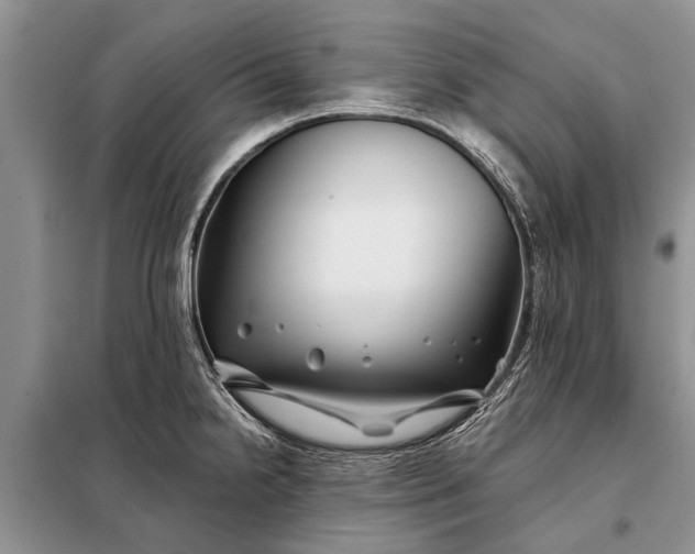 X0000097971238200804071049