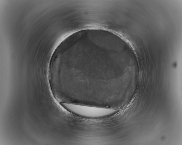 X0000097971239200804071049