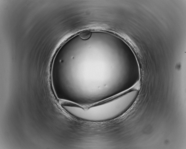 X0000097971240200804071049