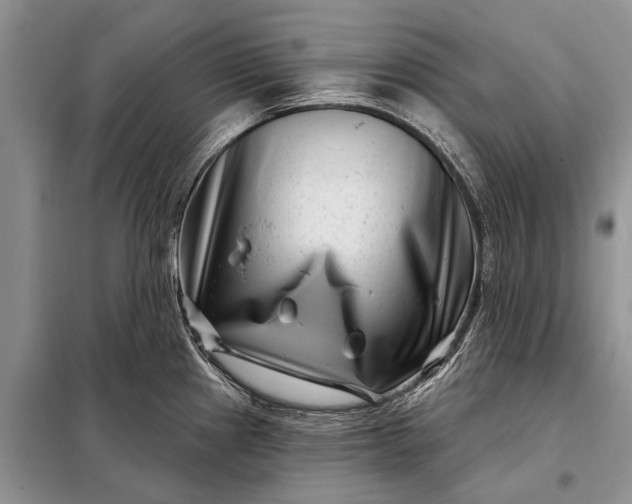 X0000097971241200804071049