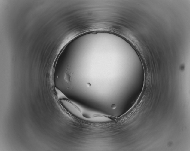 X0000097971242200804071049