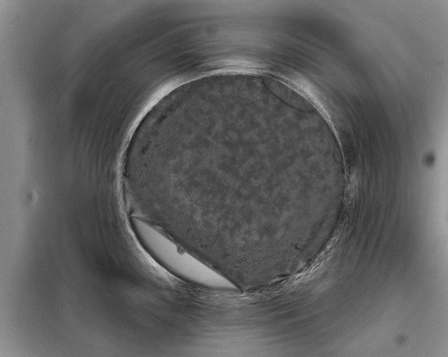 X0000097971243200804071049