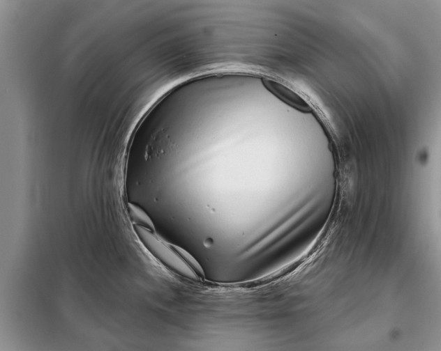 X0000097971244200804071049