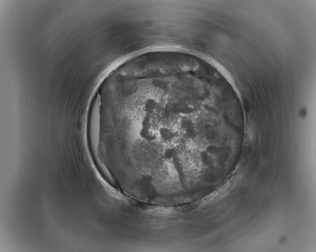 X0000097971245200804071049