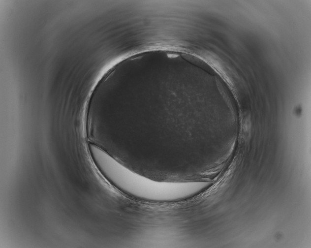 X0000097971246200804071049