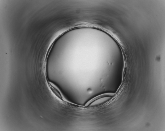 X0000097971247200804071049