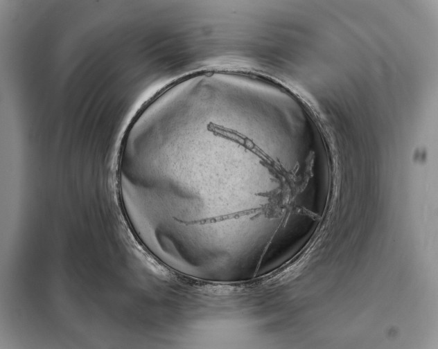 X0000097971248200804071049