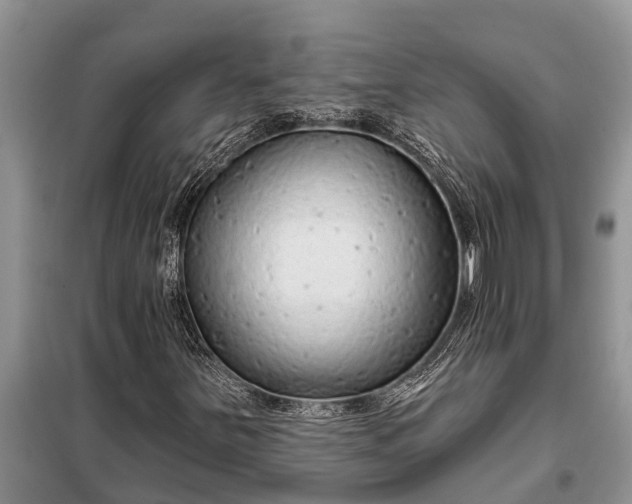 X0000097971251200804071049