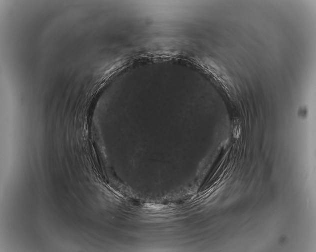 X0000097971252200804071049