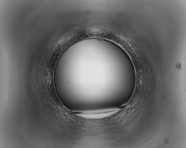 X0000097971253200804071049