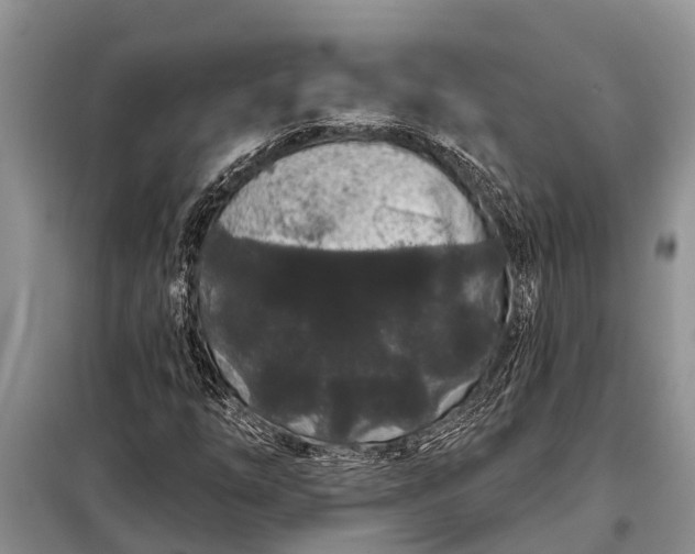 X0000097971254200804071049