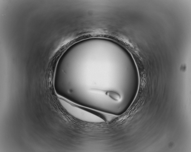 X0000097971255200804071049