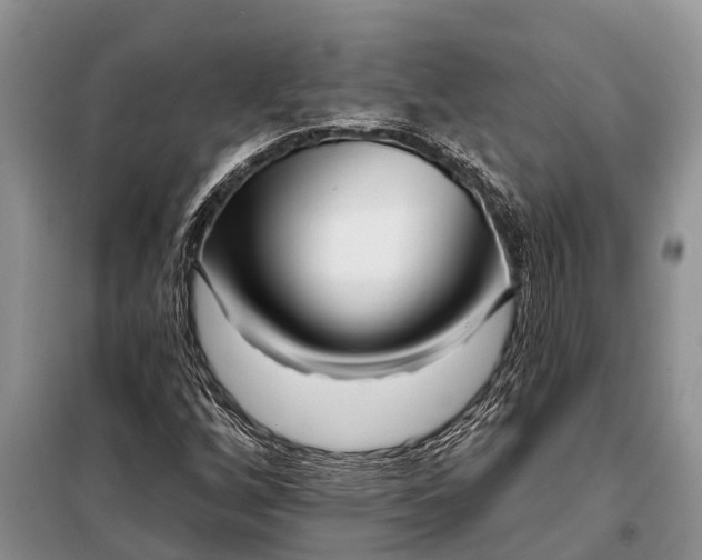 X0000097971256200804071049