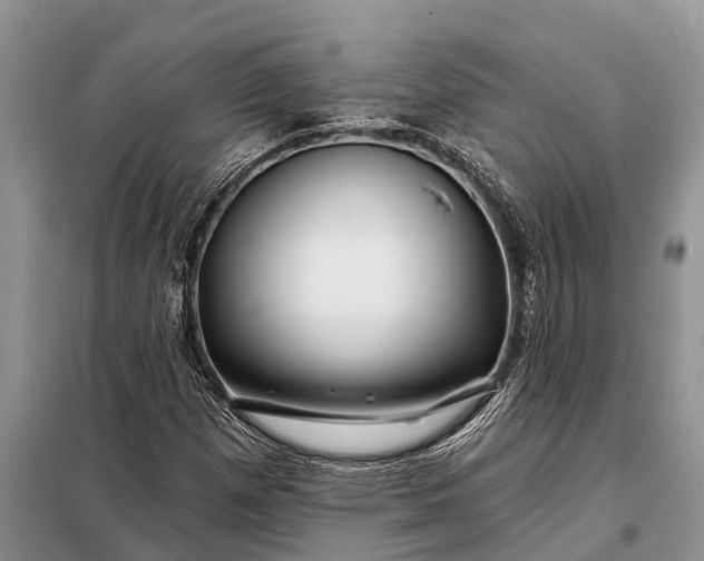 X0000097971257200804071049