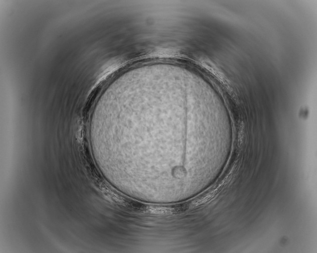 X0000097971258200804071049