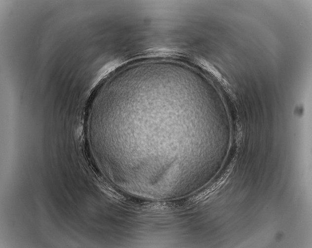 X0000097971259200804071049