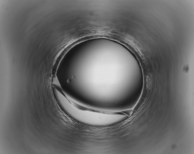 X0000097971260200804071049