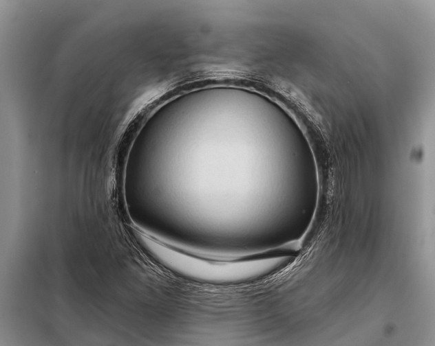 X0000097971261200804071049