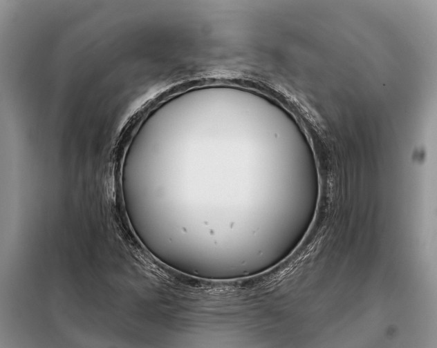 X0000097971262200804071049