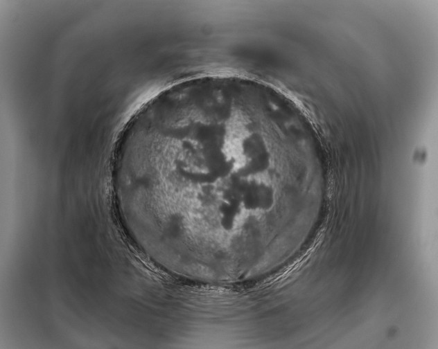 X0000097971263200804071049