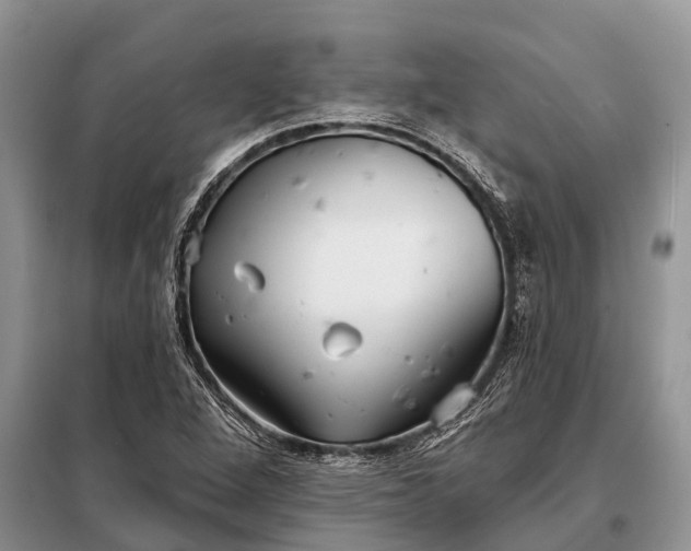 X0000097971264200804071049