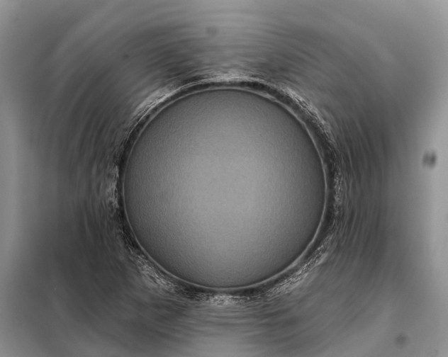 X0000097971265200804071049