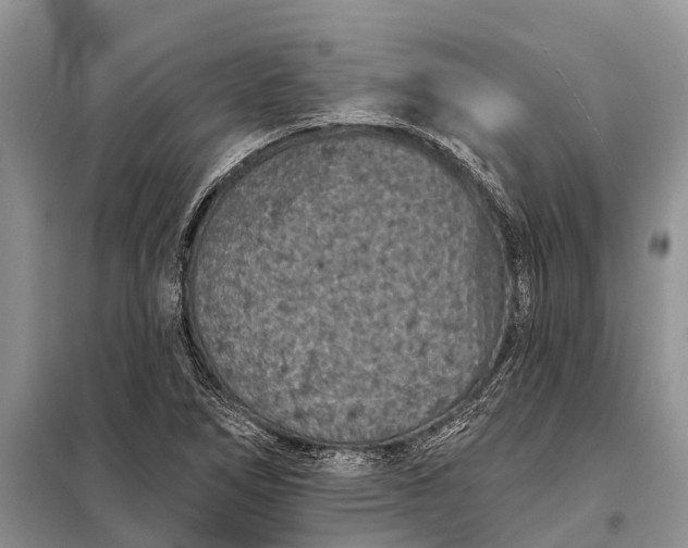 X0000097971266200804071049