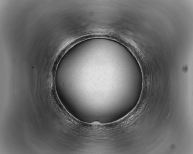 X0000097971267200804071049