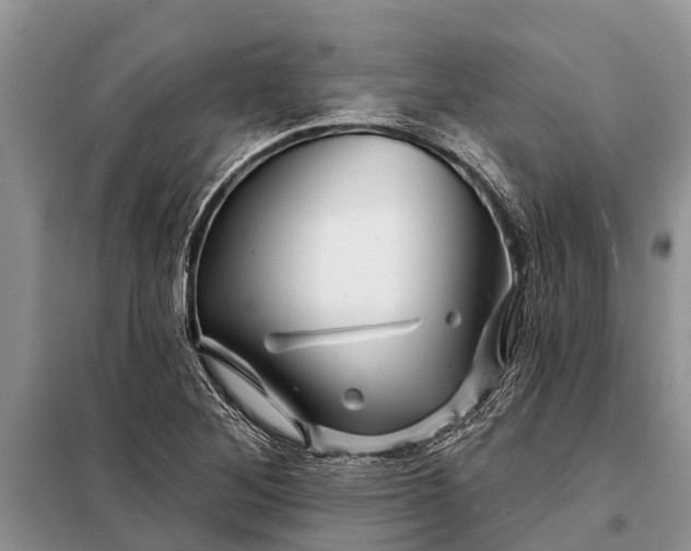 X0000097971268200804071049