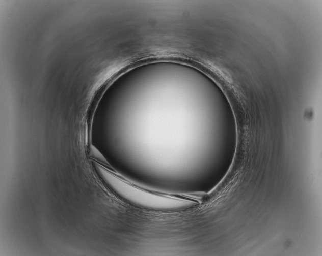 X0000097971269200804071049