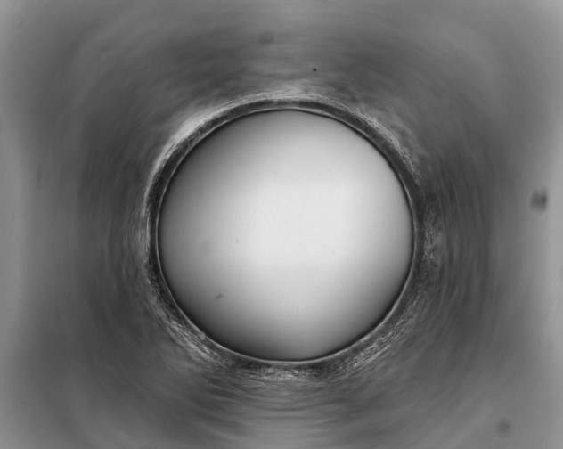 X0000097971270200804071049