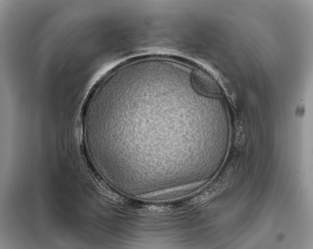 X0000097971271200804071049