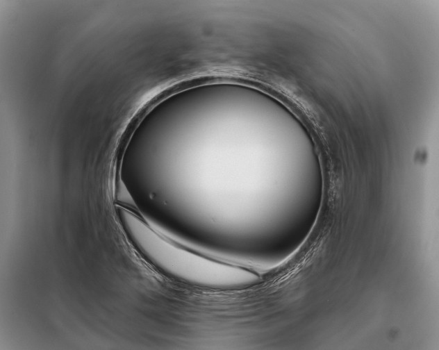 X0000097971272200804071048