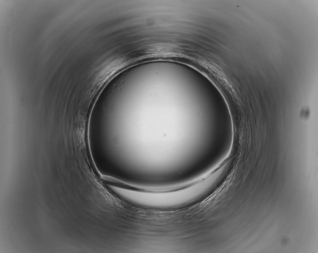 X0000097971273200804071048