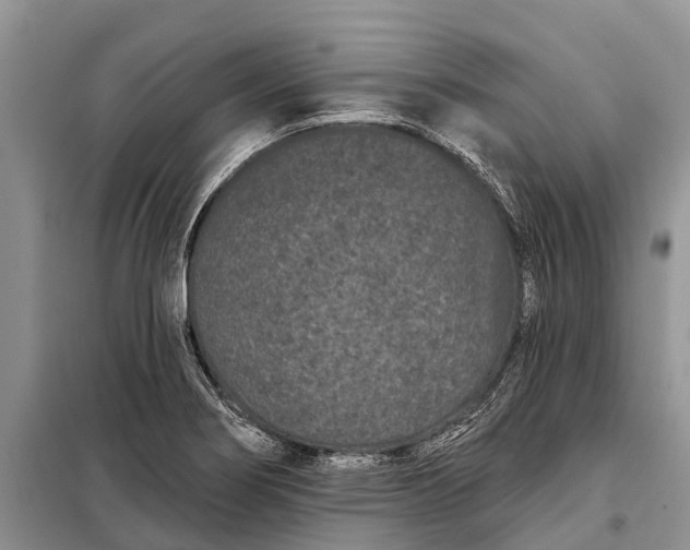 X0000097971274200804071048